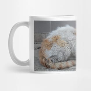 Stray Cat Mug